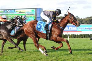 Silkstone Special too good for her rivals at Sandown Silkstone Special too good for her rivals at Sandown